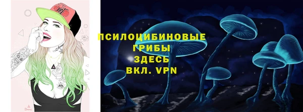гидропоника Арсеньев