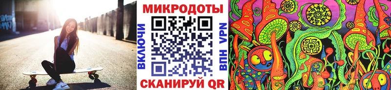 Псилоцибиновые грибы Cubensis  Серафимович 